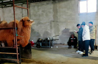 銀保聯(lián)動(dòng) 支農(nóng)興產(chǎn)——金融保險(xiǎn)+為地方特色養(yǎng)殖產(chǎn)業(yè)助力賦能