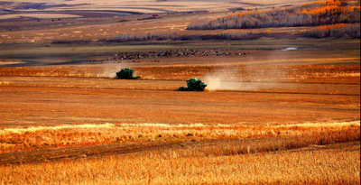 莫力达瓦达斡尔族自治旗：深耕产业内核 笃行提档提质
