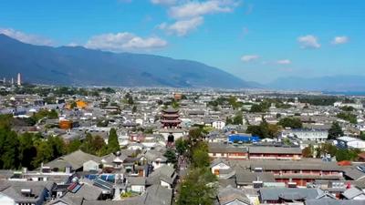 瓦貓是種什么貓？