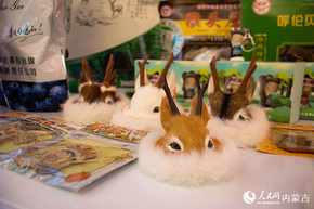 “呼倫”遇上“呼和”“同行融合之路 共繪山河錦繡”文旅宣傳推介活動舉行