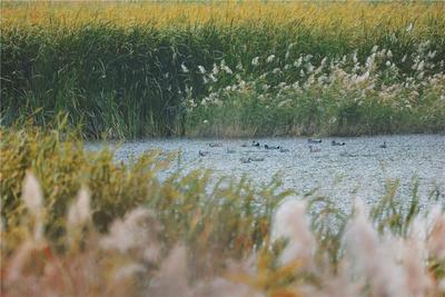 乌海市统筹“五区一河”治理推动生态环境质量持续改善