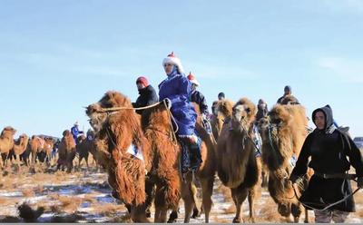 百峰賽駝競風(fēng)流