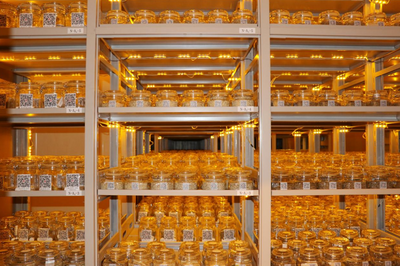 生態(tài)產(chǎn)業(yè)規(guī)劃前置賦能 蒙草生態(tài)解鎖草種科技長效治沙密碼