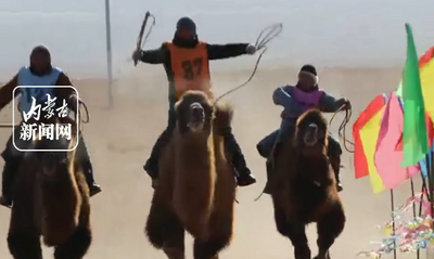 8000米賽駝?dòng)?jì)時(shí)賽在四子王旗大紅山國家地質(zhì)公園開賽