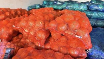 4.8噸新鮮蔬菜跨出國門！策克口岸開啟蔬菜出口新常態(tài)