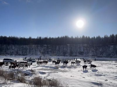 解鎖-40℃冰雪秘境長達7個月的“童話冰雪季”