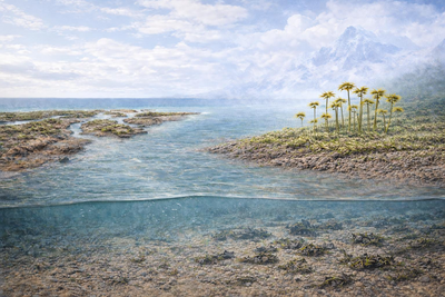 我國科研團(tuán)隊(duì)新發(fā)現(xiàn)：4億多年前早期植物已在陸地大規(guī)模擴(kuò)張