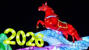 通辽街头已是“马不停蹄”的浪漫