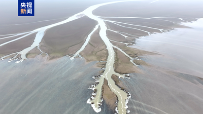 鄱陽湖進(jìn)入枯水期 金溪湖水域現(xiàn)“大地之樹”景觀