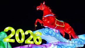 通遼市街頭已是“馬不停蹄”的浪漫