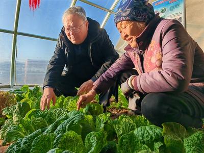 擁有8項自主知識產權!“戈壁戍邊智能溫室蔬菜技術示范與推廣”項目成功獲評國家級科技成果