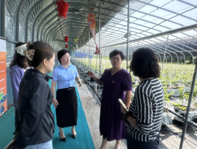 “十四五”答卷丨中國人壽涉農人身保險每年覆蓋超2.7億人次農村人口