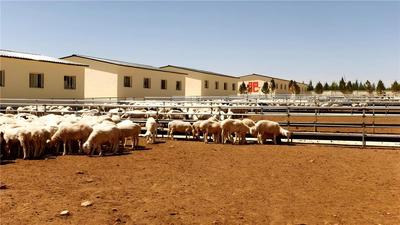 化德縣：筑牢振興基石 繪就富民畫卷