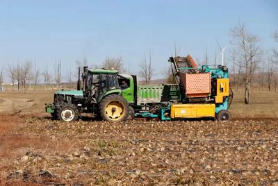 年采销额近20亿元！锡盟这家企业带动近万人参与“甜蜜”事业！