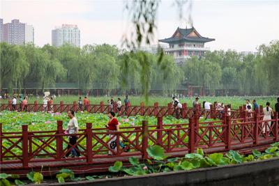 烏海：抓好7項(xiàng)重點(diǎn)工作提升轉(zhuǎn)型發(fā)展質(zhì)效