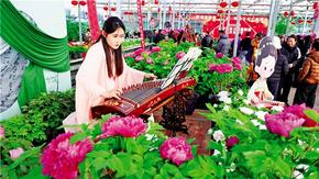 牡丹花開迎新春