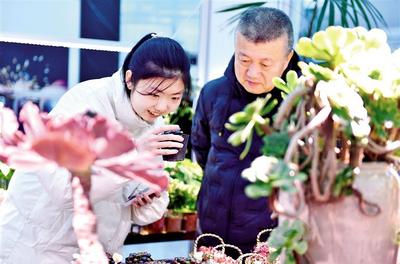 鮮花俏銷迎新春