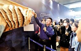 提升青少年科学素养  