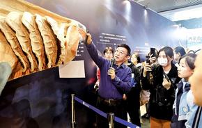 提升青少年科學(xué)素養(yǎng)  