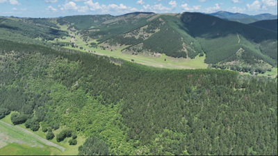 赤峰市精準施策護林草守生態(tài)