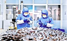 進(jìn)行牛肉深加工