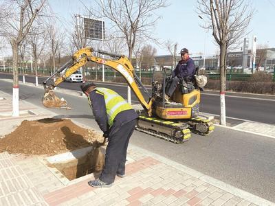 全域推進(jìn)綠化提升  包頭市主城區(qū)道路補(bǔ)植增綠有序?qū)嵤? title=