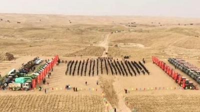 阿拉善沙海里的“追綠人”