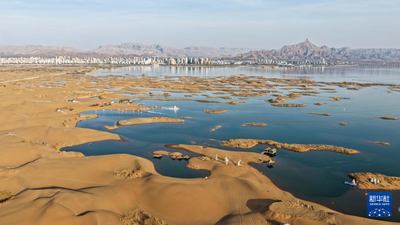 內(nèi)蒙古烏海：沙水相依鷗翔集