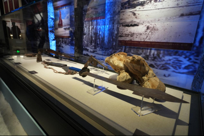 莫力達(dá)瓦達(dá)斡爾族自治旗：守護(hù)文化根脈 共建精神家園