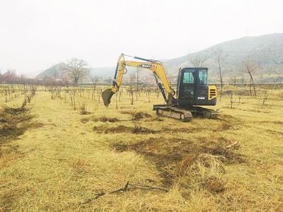 【2026全國兩會】最高法工作報告圖示