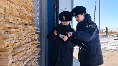 今年前兩個(gè)月經(jīng)滿洲里鐵路口岸進(jìn)出口量值雙升