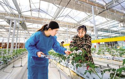 智慧農(nóng)業(yè)春意濃