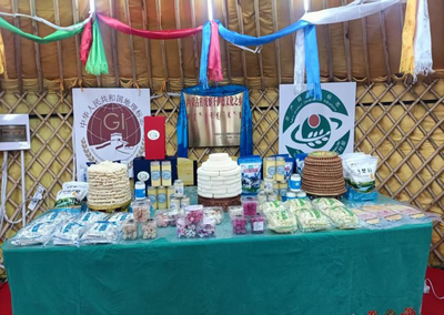 小奶食撬動大產(chǎn)業(yè) 鑲黃旗以奶業(yè)振興鏈起鄉(xiāng)村振興路