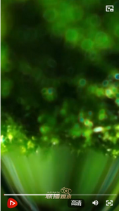 聯(lián)播+｜“喻”見世界文明的百花園