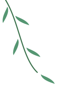 全鏈條嚴(yán)監(jiān)管 內(nèi)蒙古食品安全治理成效持續(xù)向好