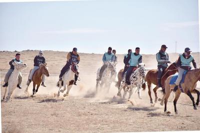 駿馬奔騰赴春約