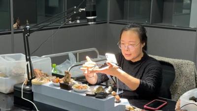 植沃土 優(yōu)服務(wù)！阿拉善構(gòu)建“家門(mén)口”高質(zhì)量創(chuàng)業(yè)就業(yè)圈