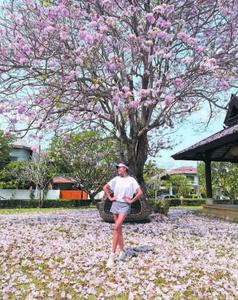 ?“上世紀藝人”翻紅，大眾文娛的消費邏輯變了