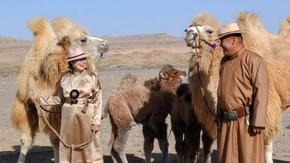 鏡見·多彩阿拉善丨駝?dòng)啊ゑ勴崱ゑ勦l(xiāng)情