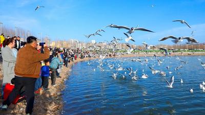 春已至 候鳥(niǎo)歸