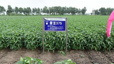 喜報！雙雙上榜