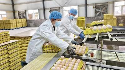 興產(chǎn)業(yè) 惠民生！阿拉善書(shū)寫鄉(xiāng)村全面振興新篇章