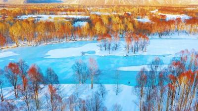 當綠水青山成為“幸?？可健薄魝愗悹柼剿魃鷳B(tài)與生產(chǎn)生活融合發(fā)展新路徑