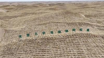 沙漠鎖邊林草帶建設(shè)加速！2026年阿拉善左旗生態(tài)治理大幕拉開