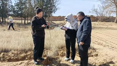 護(hù)航春季造林！阿拉善盟苗木儲備按下“快進(jìn)鍵”