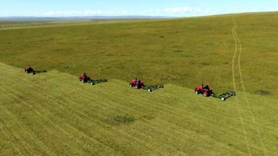 糧食生產(chǎn)實(shí)現(xiàn)“十三連豐” 呼倫貝爾農(nóng)牧業(yè)提質(zhì)升級(jí)成效顯著