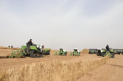 蒙草生態(tài)創(chuàng)新“三北”建后管護(hù)保障體系賦能阿拉善荒漠治理