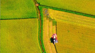 多項(xiàng)指標(biāo)領(lǐng)跑全區(qū)！赤峰市農(nóng)牧業(yè)高質(zhì)量發(fā)展動(dòng)能強(qiáng)勁