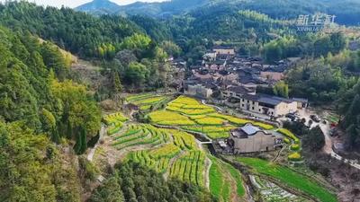 春花綻放，田園古韻詩意滿滿