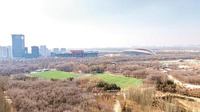 鹿城春日沐芳華